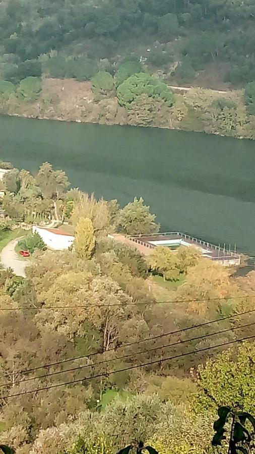 Douro Balcony Villa Resende Bagian luar foto