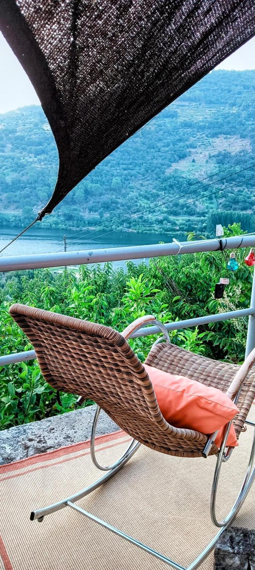 Douro Balcony Villa Resende Bagian luar foto