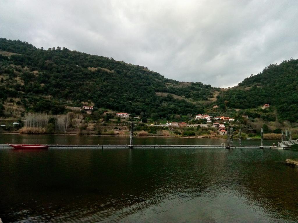 Douro Balcony Villa Resende Bagian luar foto