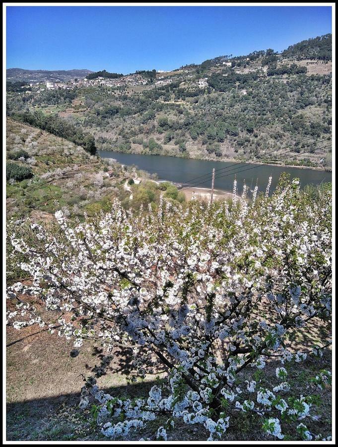 Douro Balcony Villa Resende Bagian luar foto