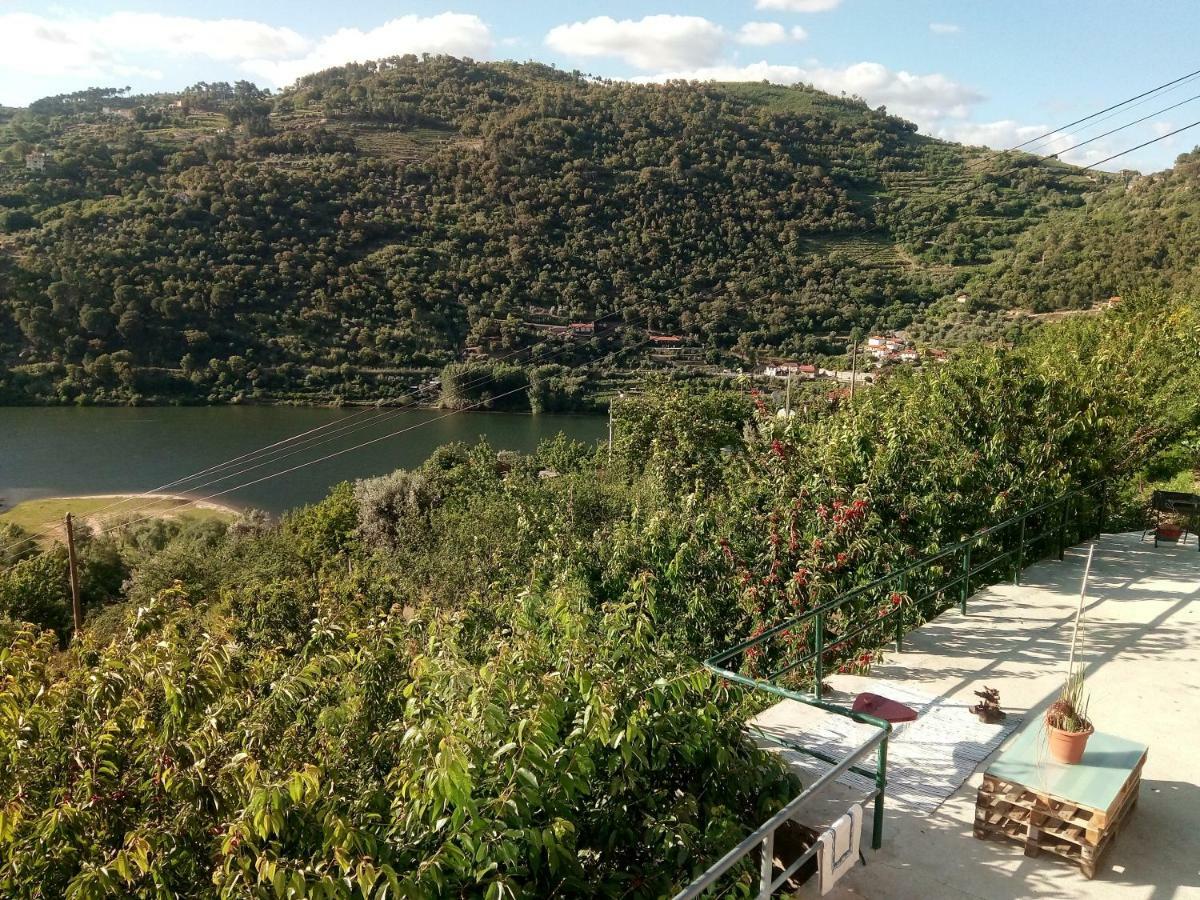 Douro Balcony Villa Resende Bagian luar foto