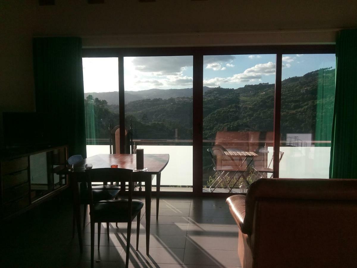 Douro Balcony Villa Resende Bagian luar foto